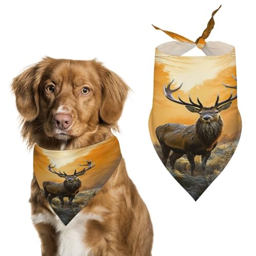 Hundehalstuch, Halstuch, Motiv: Hirsch im Wald, waschbar, bedruckt, Dreieckstuch für Hunde oder Katzen Hundehalstuch, Halstuch, Motiv: Hirsch im Wald, waschbar, bedruckt, Dreieckstuch für Hunde oder Katzen von LFDSYEOQ