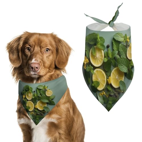 Hundehalstuch, Halstuch, Motiv: Minzblätter und Zitrone, waschbar, bedruckt, Dreieckstuch für Hunde oder Katzen Hundehalstuch, Halstuch, Motiv: Minzblätter und Zitrone, waschbar, bedruckt, Dreieckstuch für Hunde oder Katzen von LFDSYEOQ