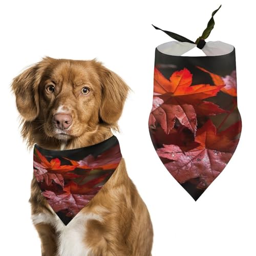Hundehalstuch, Halstuch, Motiv: rote Ahornblätter, waschbar, bedruckt, Dreieck, Halstuch für Hunde oder Katzen Hundehalstuch, Halstuch, Motiv: rote Ahornblätter, waschbar, bedruckt, Dreieck, Halstuch für Hunde oder Katzen von LFDSYEOQ