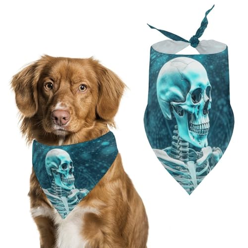 Hundehalstuch, Motiv: Skelett des Farbraums, waschbar, bedruckt, Lätzchen, Zubehör, Dreieckstuch für Hunde oder Katzen Hundehalstuch, Motiv: Skelett des Farbraums, waschbar, bedruckt, Lätzchen, Zubehör, Dreieckstuch für Hunde oder Katzen von LFDSYEOQ