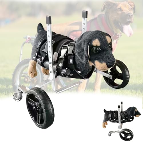 LFHWHKJ Hunderollstuhl for die Vorderbeine, Hunderollstuhl mit 4 leichten Rädern, verstellbare Hundewagen, Mobilitätshilfen for Gehen und Erholen der Vorderbeine for behinderte Vorderbeine, Vorderband LFHWHKJ Hunderollstuhl for die Vorderbeine, Hunderollstuhl mit 4 leichten Rädern, verstellbare Hundewagen, Mobilitätshilfen for Gehen und Erholen der Vorderbeine for behinderte Vorderbeine, Vorderband von LFHWHKJ