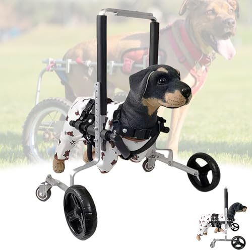 LFHWHKJ Hunderollstuhl for die Vorderbeine, Hunderollstuhl mit 4 leichten Rädern, verstellbare Hundewagen, Mobilitätshilfen for Gehen und Erholen der Vorderbeine for behinderte Vorderbeine, Vorderband LFHWHKJ Hunderollstuhl for die Vorderbeine, Hunderollstuhl mit 4 leichten Rädern, verstellbare Hundewagen, Mobilitätshilfen for Gehen und Erholen der Vorderbeine for behinderte Vorderbeine, Vorderband von LFHWHKJ