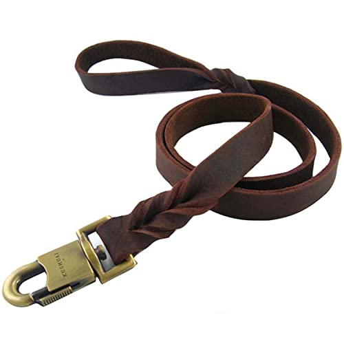 LFWATAXY Strapazierfähige Hundeleine, Leder, 91 cm, erweiterter Clip, geflochten, braun, lang, wasserdicht, Trainingsleine, geeignet für kleine, mittelgroße und große Hunde (Seil) von LFWATAXY