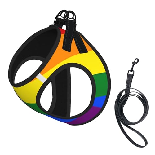 L Pet Leash Vest Hundegeschirr, klein, Regenbogen-Druck, verstellbar, für Outdoor-Reisen und Spaziergänge von LGHHGY