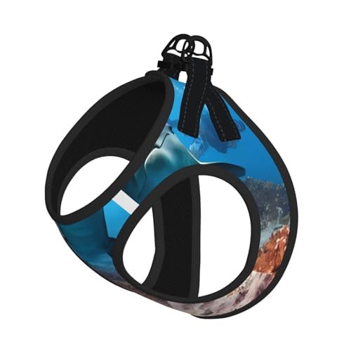 L Pet Leash Vest Hundegeschirr – kleine Größe, Ozean-Tiere, lustiger Delfindruck, verstellbar, für Outdoor-Reisen und Spaziergänge L Pet Leash Vest Hundegeschirr – kleine Größe, Ozean-Tiere, lustiger Delfindruck, verstellbar, für Outdoor-Reisen und Spaziergänge von LGHHGY