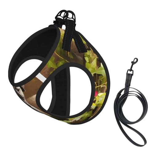L Pet Leash Vest Hundegeschirr – kleine Größe, Welpen Mops, verstellbar, für Outdoor-Reisen und Spaziergänge L Pet Leash Vest Hundegeschirr – kleine Größe, Welpen Mops, verstellbar, für Outdoor-Reisen und Spaziergänge von LGHHGY