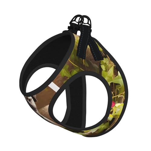 L Pet Leash Vest Hundegeschirr – kleine Größe, Welpen Mops, verstellbar, für Outdoor-Reisen und Spaziergänge L Pet Leash Vest Hundegeschirr – kleine Größe, Welpen Mops, verstellbar, für Outdoor-Reisen und Spaziergänge von LGHHGY