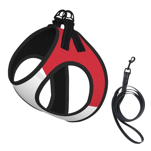 L Pet Leash Vest Hundegeschirr – kleine Größe, italienische Flagge, verstellbar, für Outdoor-Reisen und Spaziergänge L Pet Leash Vest Hundegeschirr – kleine Größe, italienische Flagge, verstellbar, für Outdoor-Reisen und Spaziergänge von LGHHGY