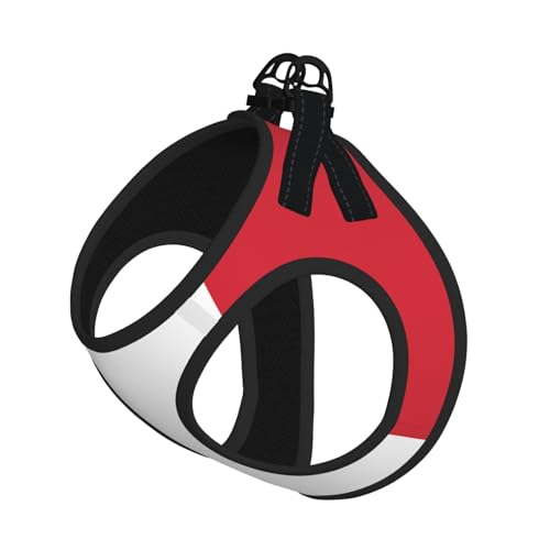 L Pet Leash Vest Hundegeschirr – kleine Größe, italienische Flagge, verstellbar, für Outdoor-Reisen und Spaziergänge L Pet Leash Vest Hundegeschirr – kleine Größe, italienische Flagge, verstellbar, für Outdoor-Reisen und Spaziergänge von LGHHGY