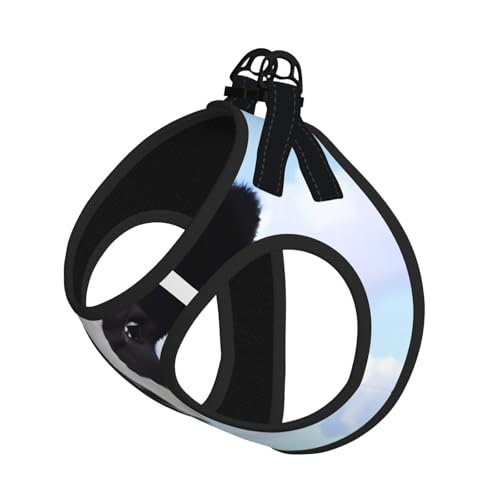 L Pet Leash Vest Hundegeschirr – kleine Größe, niedlicher Kuhdruck, verstellbar, für Outdoor-Reisen und Spaziergänge L Pet Leash Vest Hundegeschirr – kleine Größe, niedlicher Kuhdruck, verstellbar, für Outdoor-Reisen und Spaziergänge von LGHHGY