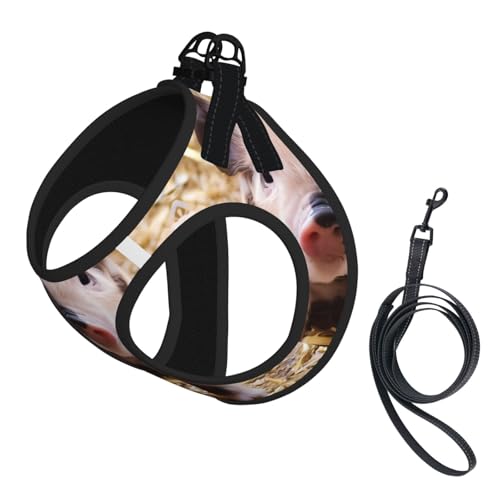 L Pet Leash Vest Hundegeschirr – kleine Größe, niedlicher Schweine-Druck, verstellbar, für Outdoor-Reisen und Spaziergänge L Pet Leash Vest Hundegeschirr – kleine Größe, niedlicher Schweine-Druck, verstellbar, für Outdoor-Reisen und Spaziergänge von LGHHGY