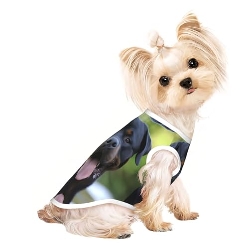 L Pet atmungsaktives ärmelloses T-Shirt für Katzen und Hunde, leichtes Rottweiler-Tanktop mit Tapetendruck, dehnbar L Pet atmungsaktives ärmelloses T-Shirt für Katzen und Hunde, leichtes Rottweiler-Tanktop mit Tapetendruck, dehnbar von LGHHGY