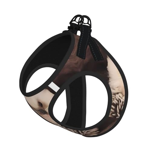 M Haustier-Leine, Hundegeschirr, klein, Baby-Igel-Druck, verstellbar, für Outdoor-Reisen und Spaziergänge M Haustier-Leine, Hundegeschirr, klein, Baby-Igel-Druck, verstellbar, für Outdoor-Reisen und Spaziergänge von LGHHGY