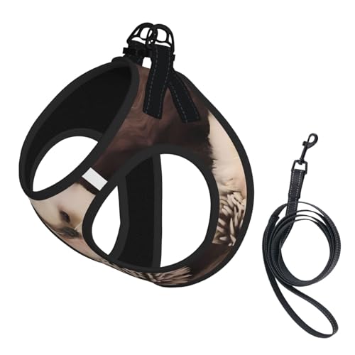 M Haustier-Leine, Hundegeschirr, klein, Baby-Igel-Druck, verstellbar, für Outdoor-Reisen und Spaziergänge M Haustier-Leine, Hundegeschirr, klein, Baby-Igel-Druck, verstellbar, für Outdoor-Reisen und Spaziergänge von LGHHGY