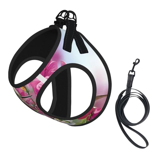 M Haustier-Leine, Hundegeschirr, klein, mit Kolibri-Druck, verstellbar, für Outdoor-Reisen und Spaziergänge M Haustier-Leine, Hundegeschirr, klein, mit Kolibri-Druck, verstellbar, für Outdoor-Reisen und Spaziergänge von LGHHGY