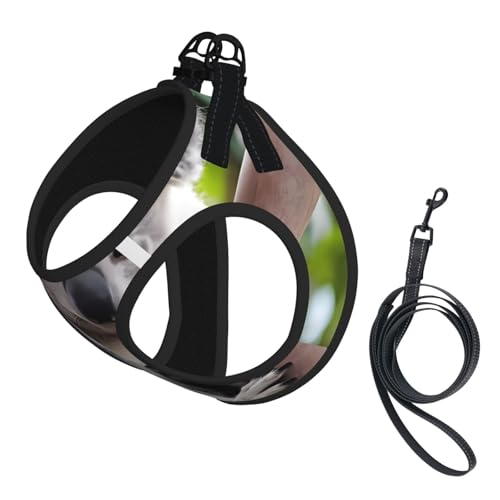 M Haustier-Leine, Hundegeschirr, klein, niedlicher Koala-Druck, verstellbar, für Outdoor-Reisen und Spaziergänge M Haustier-Leine, Hundegeschirr, klein, niedlicher Koala-Druck, verstellbar, für Outdoor-Reisen und Spaziergänge von LGHHGY
