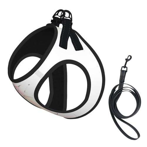 M Haustier-Leine, Hundegeschirr, kleine Größe, Ballettschuhe, bedruckt, verstellbar, für Outdoor-Reisen und Spaziergänge M Haustier-Leine, Hundegeschirr, kleine Größe, Ballettschuhe, bedruckt, verstellbar, für Outdoor-Reisen und Spaziergänge von LGHHGY
