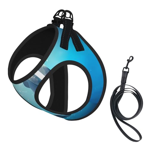 M Pet Leash Vest Dog Harness - Small Size Kiss Dolphin Tale Pattern Print Adjustable for Outdoor Travel and Walking von LGHHGY