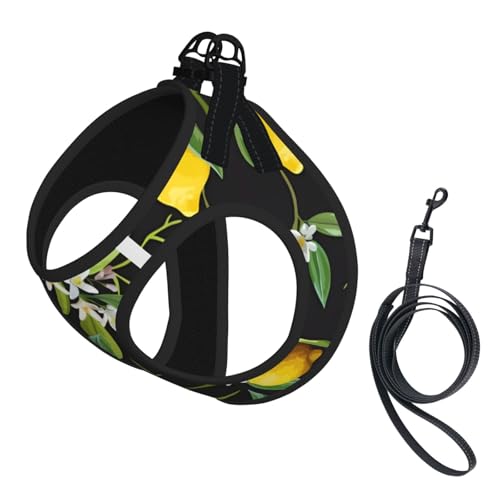 M Pet Leash Vest Hundegeschirr, klein, Zitronen- und Blumendruck, verstellbar, für Outdoor-Reisen und Spaziergänge von LGHHGY
