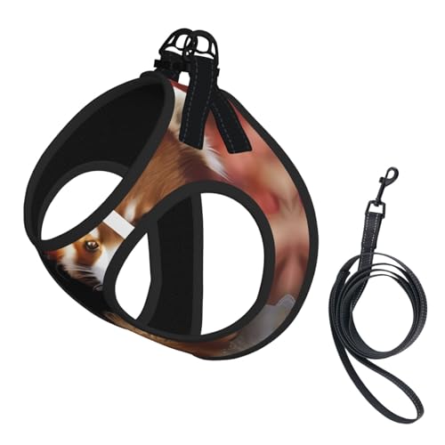M Pet Leash Vest Hundegeschirr, klein, roter Panda-Druck, verstellbar, für Outdoor-Reisen und Spaziergänge M Pet Leash Vest Hundegeschirr, klein, roter Panda-Druck, verstellbar, für Outdoor-Reisen und Spaziergänge von LGHHGY