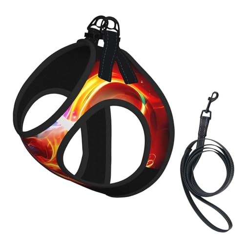 M Pet Leash Vest Hundegeschirr – kleine Größe, Feuerdrache, Fußballdruck, verstellbar, für Outdoor-Reisen und Spaziergänge M Pet Leash Vest Hundegeschirr – kleine Größe, Feuerdrache, Fußballdruck, verstellbar, für Outdoor-Reisen und Spaziergänge von LGHHGY