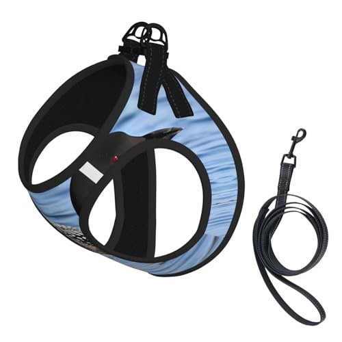 M Pet Leash Vest Hundegeschirr – kleine Größe, Loon Birds Print, verstellbar, für Outdoor-Reisen und Spaziergänge M Pet Leash Vest Hundegeschirr – kleine Größe, Loon Birds Print, verstellbar, für Outdoor-Reisen und Spaziergänge von LGHHGY