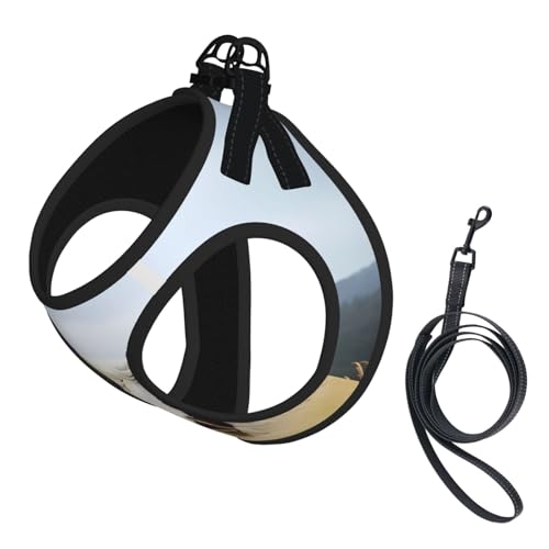 M Pet Leash Vest Hundegeschirr – kleine Größe, Pferde, Laufen, Kunstdruck, verstellbar, für Outdoor-Reisen und Spaziergänge M Pet Leash Vest Hundegeschirr – kleine Größe, Pferde, Laufen, Kunstdruck, verstellbar, für Outdoor-Reisen und Spaziergänge von LGHHGY