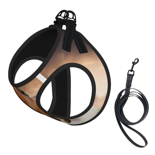 M Pet Leash Vest Hundegeschirr – kleine Größe, Pferde-Druck, verstellbar, für Outdoor-Reisen und Spaziergänge M Pet Leash Vest Hundegeschirr – kleine Größe, Pferde-Druck, verstellbar, für Outdoor-Reisen und Spaziergänge von LGHHGY