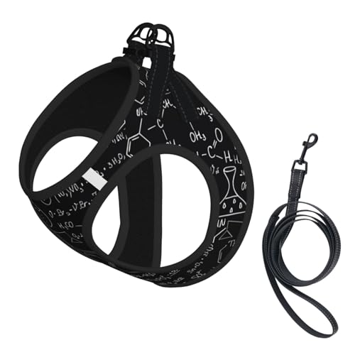 M Pet Leash Vest Hundegeschirr – kleine Größe, abstrakter Wissenschafts-Chemie-Druck, verstellbar, für Outdoor-Reisen und Spaziergänge M Pet Leash Vest Hundegeschirr – kleine Größe, abstrakter Wissenschafts-Chemie-Druck, verstellbar, für Outdoor-Reisen und Spaziergänge von LGHHGY