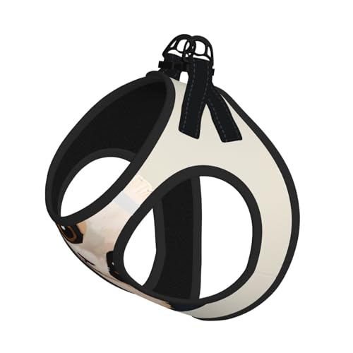 M Pet Leash Vest Hundegeschirr – kleine Größe, niedlicher kleiner Panda-Druck, verstellbar, für Outdoor-Reisen und Spaziergänge M Pet Leash Vest Hundegeschirr – kleine Größe, niedlicher kleiner Panda-Druck, verstellbar, für Outdoor-Reisen und Spaziergänge von LGHHGY