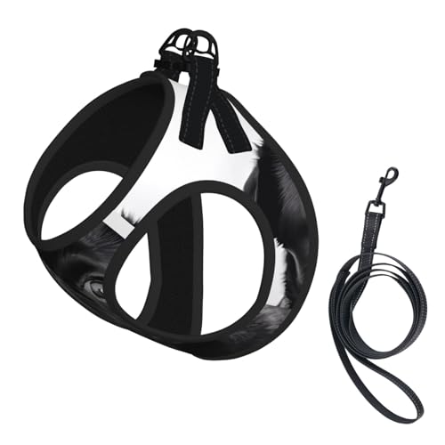 M Pet Leash Vest Hundegeschirr – kleine Größe, niedlicher schwarzer Mops, verstellbar, für Outdoor-Reisen und Spaziergänge M Pet Leash Vest Hundegeschirr – kleine Größe, niedlicher schwarzer Mops, verstellbar, für Outdoor-Reisen und Spaziergänge von LGHHGY