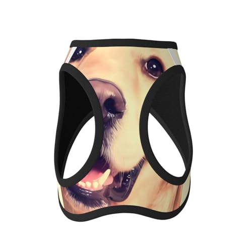 M Pet Leash Vest Hundegeschirr – kleine Größe, schöner goldener Hundedruck, verstellbar, für Outdoor-Reisen und Spaziergänge M Pet Leash Vest Hundegeschirr – kleine Größe, schöner goldener Hundedruck, verstellbar, für Outdoor-Reisen und Spaziergänge von LGHHGY