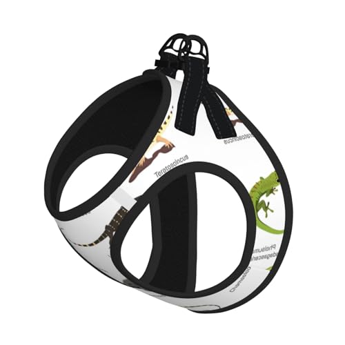 M Pet Leash Vest Hundegeschirr – kleine Größe, verschiedene Arten von Eidechsen-Druck, verstellbar, für Outdoor-Reisen und Spaziergänge M Pet Leash Vest Hundegeschirr – kleine Größe, verschiedene Arten von Eidechsen-Druck, verstellbar, für Outdoor-Reisen und Spaziergänge von LGHHGY