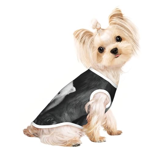 M Pet atmungsaktives ärmelloses T-Shirt für Katzen & Hunde, leichtes Tanktop mit Bärenmuster, dehnbar von LGHHGY