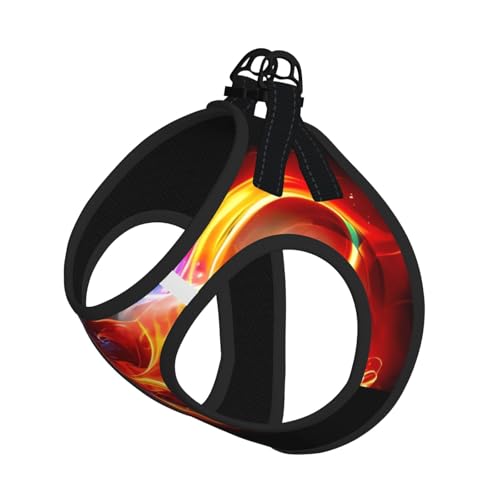 S Haustier-Leine, Hundegeschirr, klein, Feuerdrache, Fußballdruck, verstellbar, für Outdoor-Reisen und Spaziergänge von LGHHGY