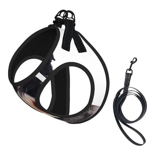 S Haustier-Leine, Hundegeschirr, klein, gut erzogener Schnauzer-Druck, verstellbar, für Outdoor-Reisen und Spaziergänge S Haustier-Leine, Hundegeschirr, klein, gut erzogener Schnauzer-Druck, verstellbar, für Outdoor-Reisen und Spaziergänge von LGHHGY