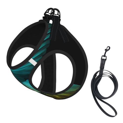 S Haustier-Leine, Hundegeschirr, klein, niedlicher Kolibri-Druck, verstellbar, für Outdoor-Reisen und Spaziergänge S Haustier-Leine, Hundegeschirr, klein, niedlicher Kolibri-Druck, verstellbar, für Outdoor-Reisen und Spaziergänge von LGHHGY