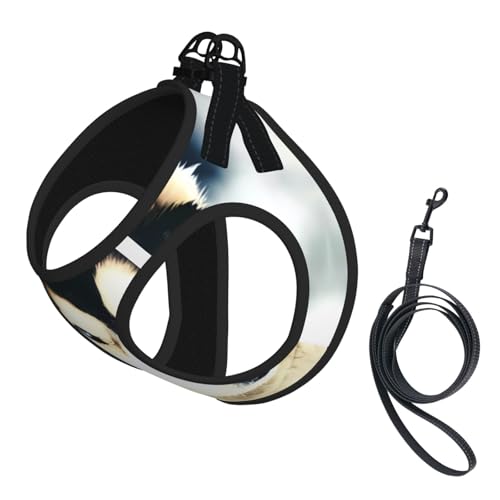 S Haustier-Leine, Hundegeschirr, klein, sibirischer Husky-Druck, verstellbar, für Outdoor-Reisen und Spaziergänge S Haustier-Leine, Hundegeschirr, klein, sibirischer Husky-Druck, verstellbar, für Outdoor-Reisen und Spaziergänge von LGHHGY