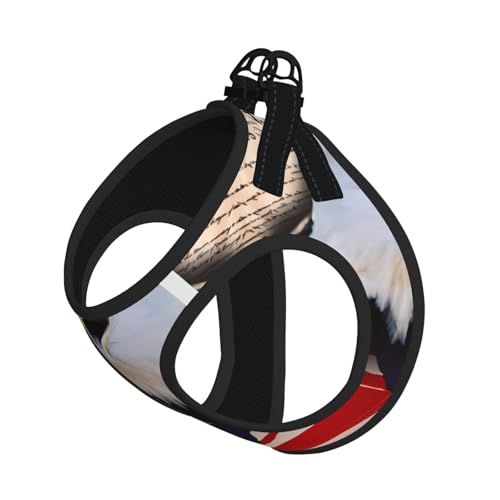 S Pet Leash Vest Hundegeschirr, klein, patriotischer Weißkopfseeadler mit amerikanischer Flagge, verstellbar, für Outdoor-Reisen und Spaziergänge von LGHHGY