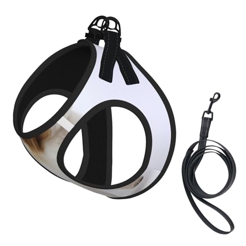 S Pet Leash Vest Hundegeschirr, klein, weißer Papillondruck, verstellbar, für Outdoor-Reisen und Spaziergänge S Pet Leash Vest Hundegeschirr, klein, weißer Papillondruck, verstellbar, für Outdoor-Reisen und Spaziergänge von LGHHGY