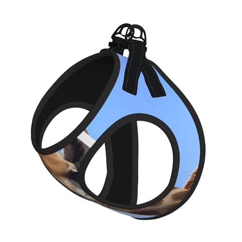 S Pet Leash Vest Hundegeschirr – kleine Größe, Giraffen-Druck, verstellbar, für Outdoor-Reisen und Spaziergänge S Pet Leash Vest Hundegeschirr – kleine Größe, Giraffen-Druck, verstellbar, für Outdoor-Reisen und Spaziergänge von LGHHGY