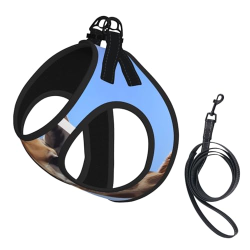 S Pet Leash Vest Hundegeschirr – kleine Größe, Giraffen-Druck, verstellbar, für Outdoor-Reisen und Spaziergänge S Pet Leash Vest Hundegeschirr – kleine Größe, Giraffen-Druck, verstellbar, für Outdoor-Reisen und Spaziergänge von LGHHGY