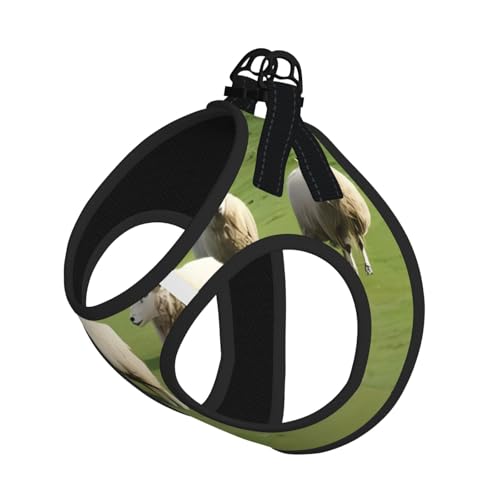 S Pet Leash Vest Hundegeschirr – kleine Größe, Schaf- und Lämmer-Druck, verstellbar, für Outdoor-Reisen und Spaziergänge S Pet Leash Vest Hundegeschirr – kleine Größe, Schaf- und Lämmer-Druck, verstellbar, für Outdoor-Reisen und Spaziergänge von LGHHGY