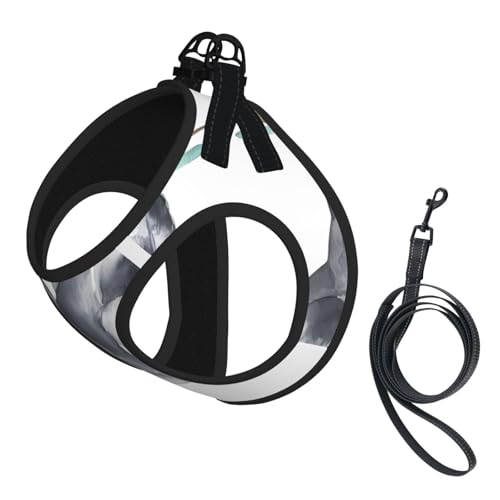 S Pet Leash Vest Hundegeschirr – kleine Größe, lustiger Koalas-Druck, verstellbar, für Outdoor-Reisen und Spaziergänge S Pet Leash Vest Hundegeschirr – kleine Größe, lustiger Koalas-Druck, verstellbar, für Outdoor-Reisen und Spaziergänge von LGHHGY