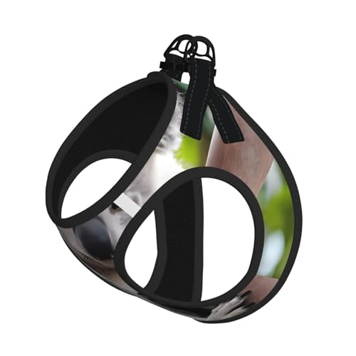 S Pet Leash Vest Hundegeschirr – kleine Größe, niedlicher Koala-Druck, verstellbar, für Outdoor-Reisen und Spaziergänge S Pet Leash Vest Hundegeschirr – kleine Größe, niedlicher Koala-Druck, verstellbar, für Outdoor-Reisen und Spaziergänge von LGHHGY