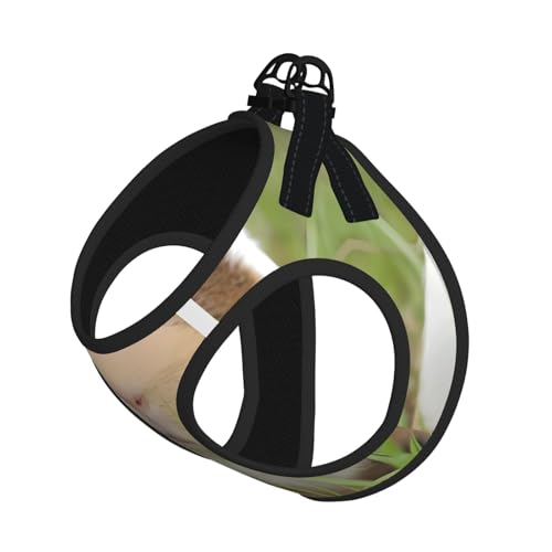S Pet Leash Vest Hundegeschirr – kleine Größe, niedlicher Meerschweinchen-Druck, verstellbar, für Outdoor-Reisen und Spaziergänge S Pet Leash Vest Hundegeschirr – kleine Größe, niedlicher Meerschweinchen-Druck, verstellbar, für Outdoor-Reisen und Spaziergänge von LGHHGY