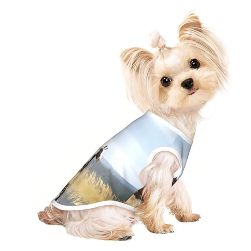 S Pet atmungsaktives ärmelloses T-Shirt für Katzen und Hunde, leichtes Pferde, Kunstdruck, Tanktop mit dehnbarem Druck S Pet atmungsaktives ärmelloses T-Shirt für Katzen und Hunde, leichtes Pferde, Kunstdruck, Tanktop mit dehnbarem Druck von LGHHGY