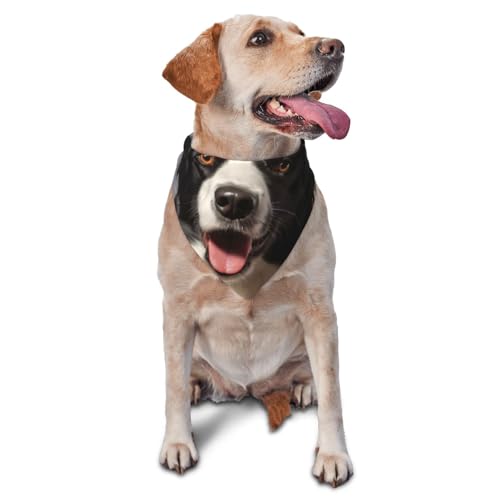 Border Collie Hunde-Bandana, Haustier-Schal, Zubehör für kleine, mittelgroße Hunde und Katzen, Foto-Requisite, dreieckig, verstellbar, Welpen-Lätzchen, waschbar, Hundehalstuch, Welpen-Halstuch Border Collie Hunde-Bandana, Haustier-Schal, Zubehör für kleine, mittelgroße Hunde und Katzen, Foto-Requisite, dreieckig, verstellbar, Welpen-Lätzchen, waschbar, Hundehalstuch, Welpen-Halstuch von LHBWCVN