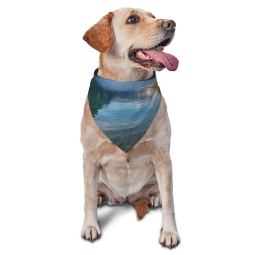 Glacier National Park Hundehalstuch, Haustier-Schal, Zubehör für kleine, mittelgroße Hunde und Katzen, Foto-Requisite, dreieckig, verstellbar, Welpen-Lätzchen, waschbar, Hundehalstuch, Welpen-Halstuch von LHBWCVN