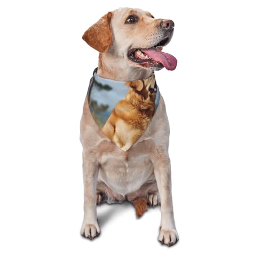 Golden Retriever Hunde-Bandana, Haustier-Schal, Zubehör für kleine, mittelgroße Hunde und Katzen, Foto-Requisite, dreieckig, verstellbar, Welpen-Lätzchen, waschbar, Hundehalstuch, Welpen-Halstuch von LHBWCVN